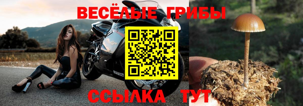 цены   Вход с VPN  Галлюциногенные грибы мицелий  Южно-Сахалинск  Галлюциногенные грибы Psilocybe 